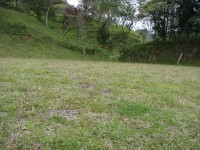 /album/linda-finca-guarne/finca-guarne-2014-088-jpg/